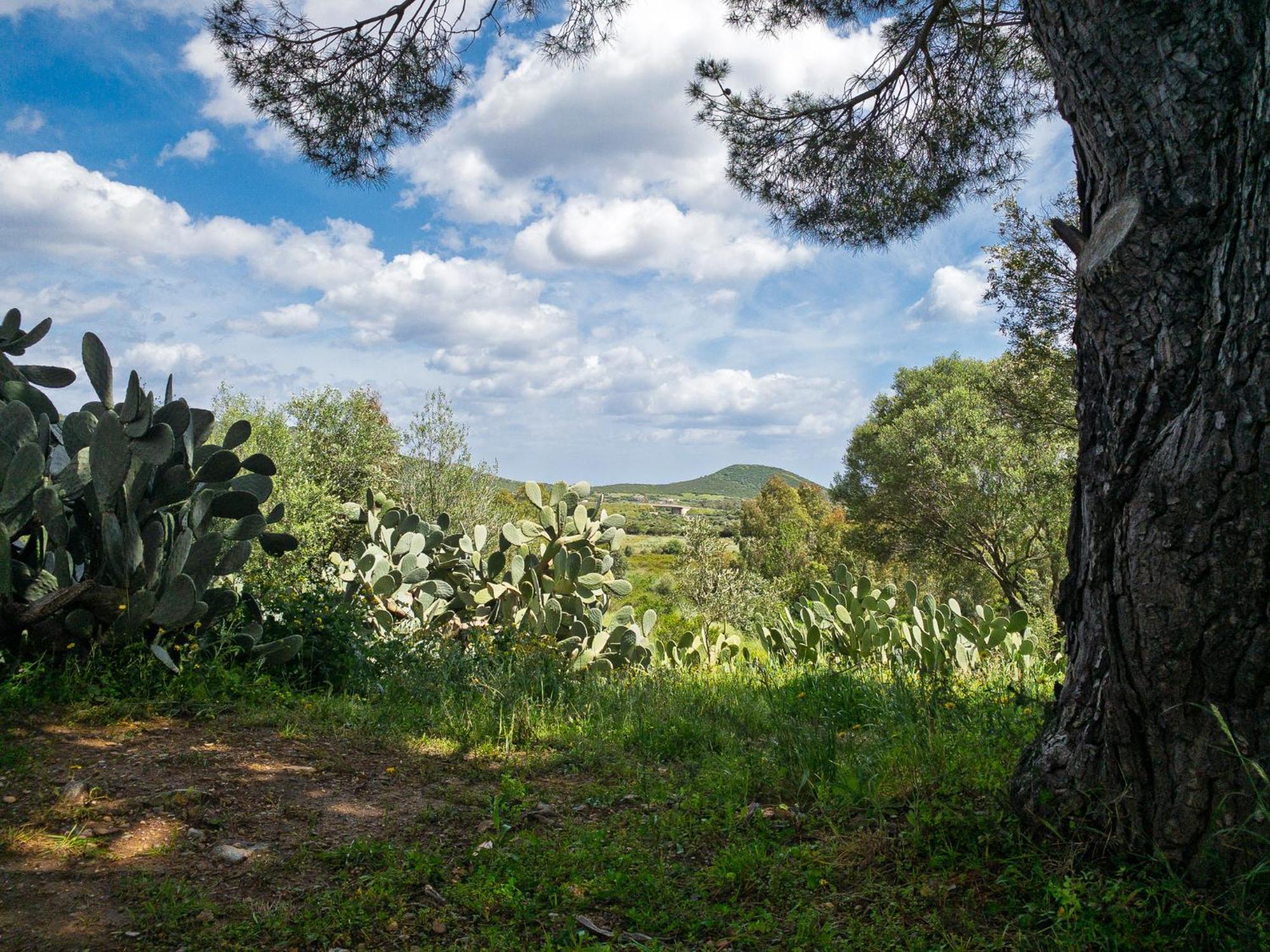 Agriturismo Guparza Посада Экстерьер фото