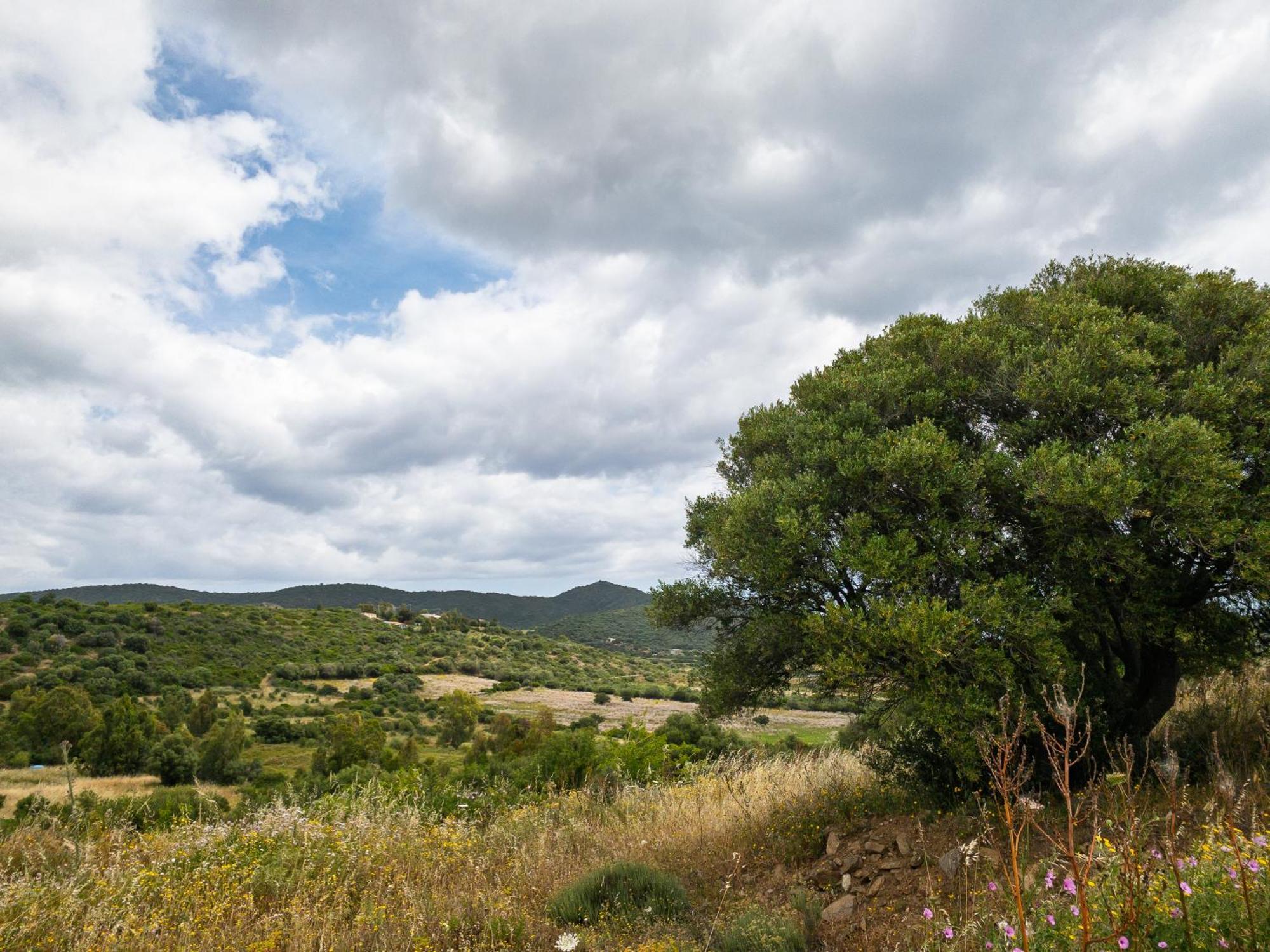 Agriturismo Guparza Посада Экстерьер фото